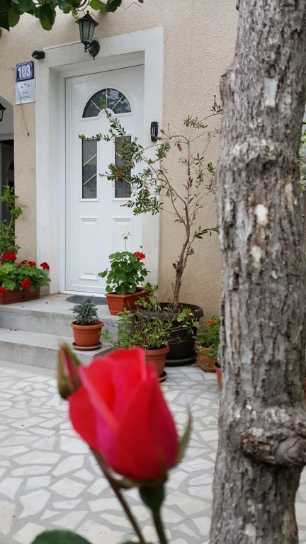 Hibiscus Guest House Budva Eksteriør bilde